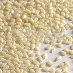 Manufacturers,Exporters,Suppliers of Sesame Seeds